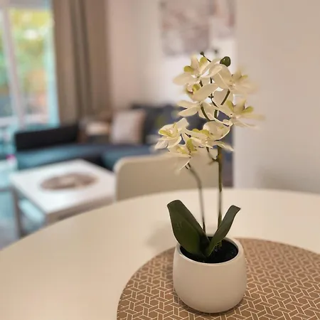 Silver Lofts I - Tisina Na Korak Od Plaze Veliko Gradiste